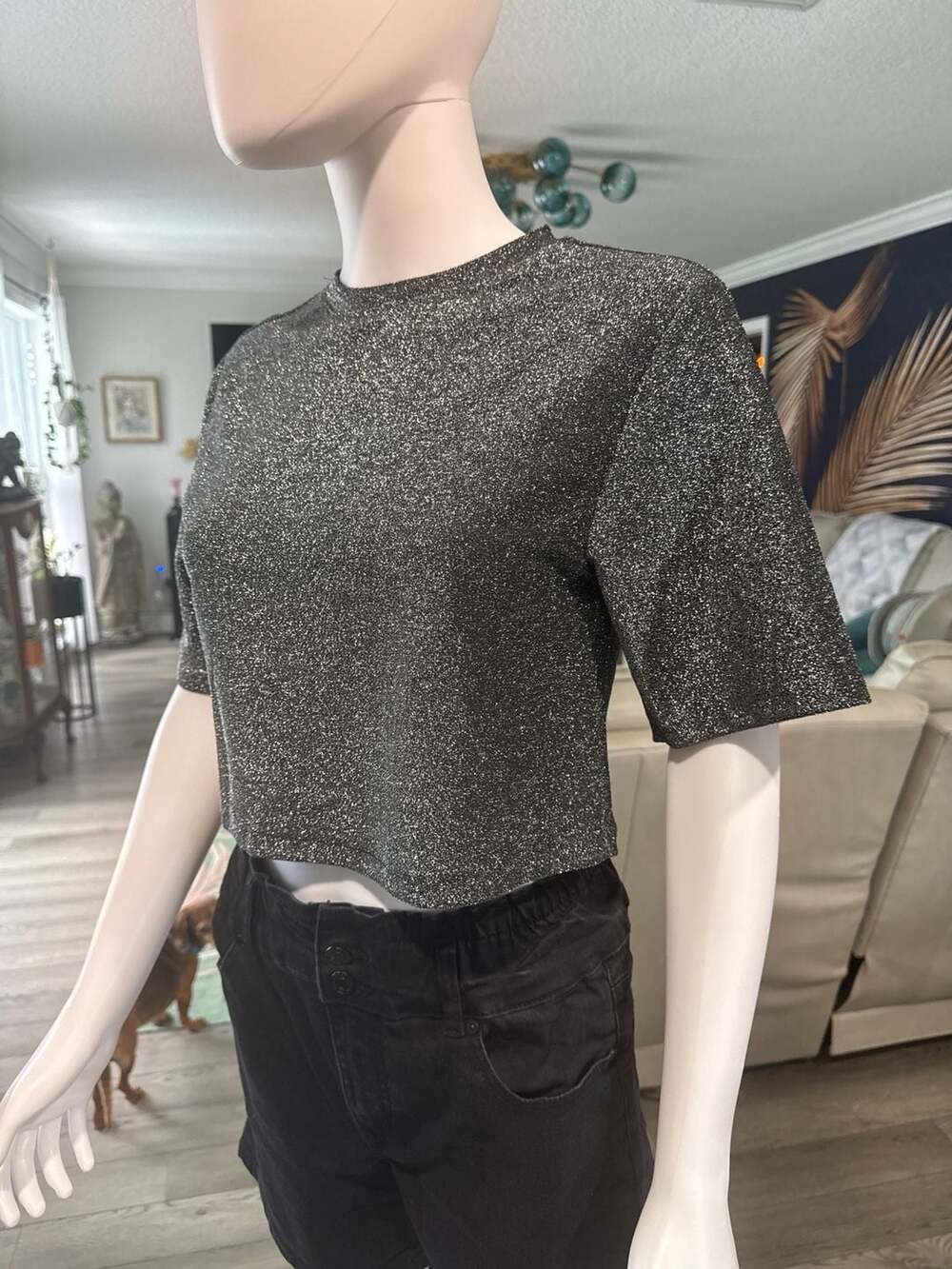 H&M Silver Metallic Glitter Short Sleeve Crop Top Size XS